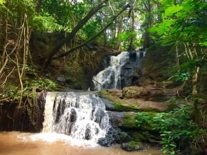 Waterfall in Karura Forest
