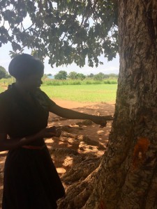 GDPU Staff member Mary