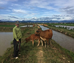 dung 1500