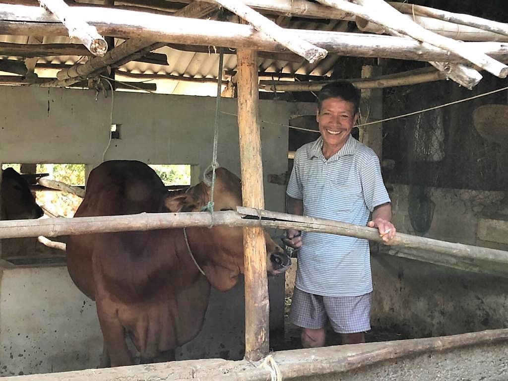 Mr. Hue with his cows August 2018